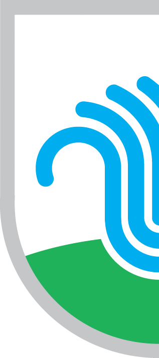 Logo watermark