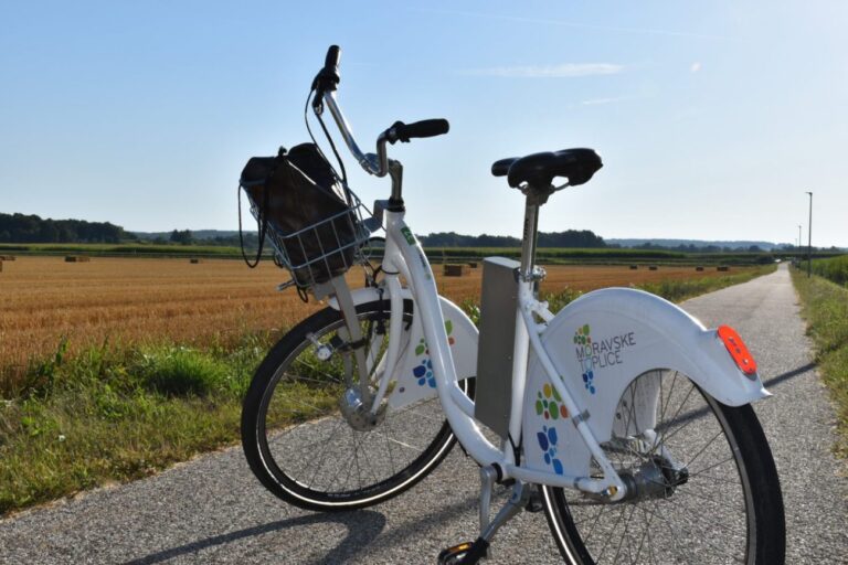 Evropski teden mobilnosti 2022
